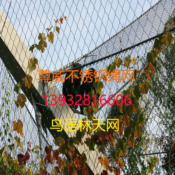 鳥(niǎo)語(yǔ)林網(wǎng)